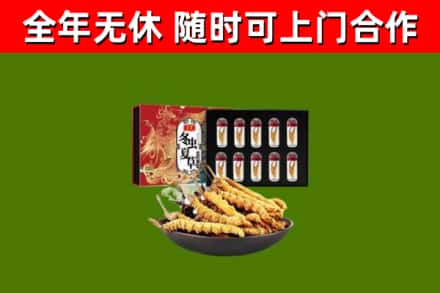 萍乡回收冬虫夏草价格